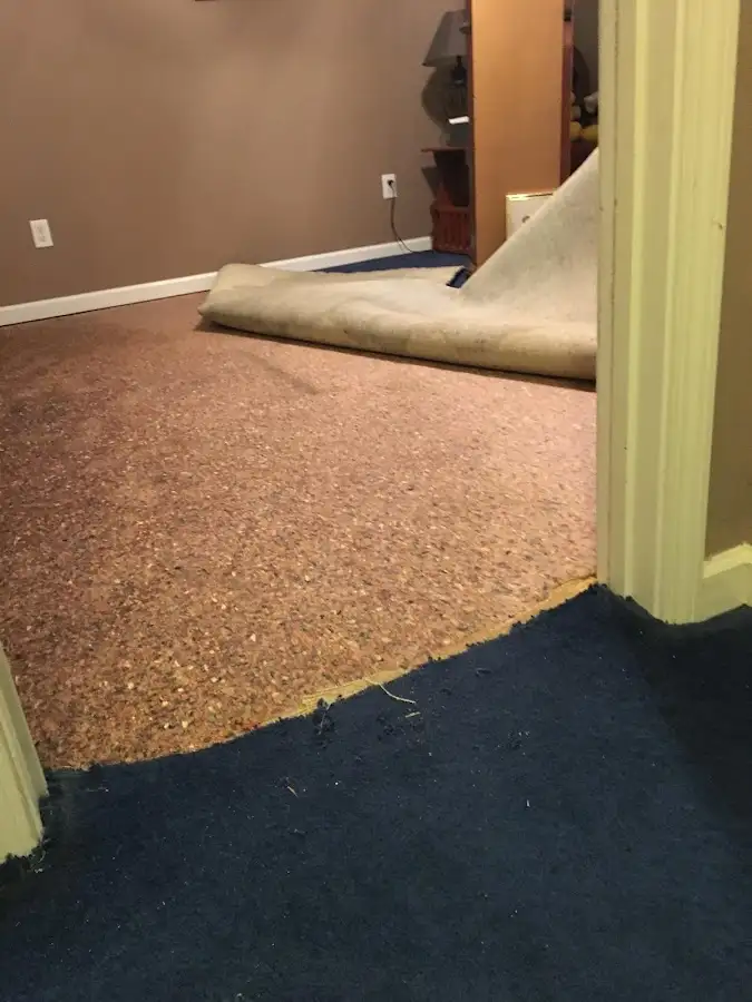 Carpet pad removal revealing water damage during Drying & Dehumidification in Laramie