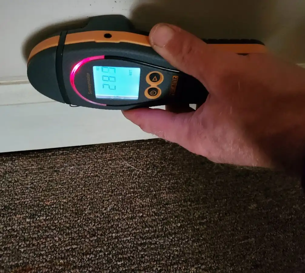 Moisture detection at baseboard during Mold Inspection & Testing in Laramie